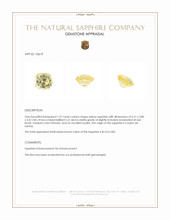 Jewelry Appraisal