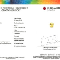 Jewelry Scan Report