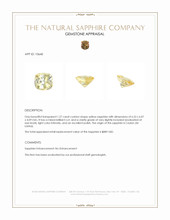 1.27 Ct. Yellow Sapphire from Ceylon (Sri Lanka) Appraisal