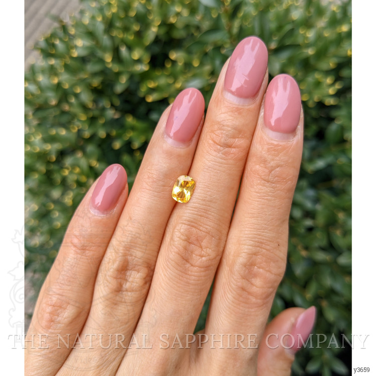 1.11 Ct. Yellow Sapphire from Ceylon (Sri Lanka)