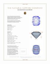 Jewelry 3 D Scan Report