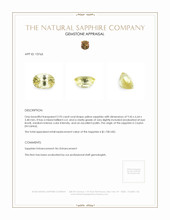 2.93 Ct. Yellow Sapphire from Ceylon (Sri Lanka) Appraisal