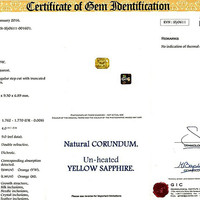 Jewelry Scan Report