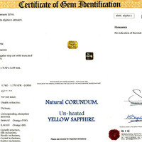 Jewelry Scan Report