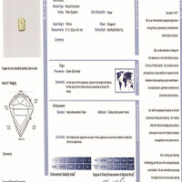 Jewelry Scan Report