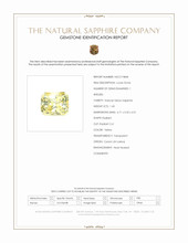 Jewelry Scan Report