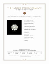Jewelry Scan Report