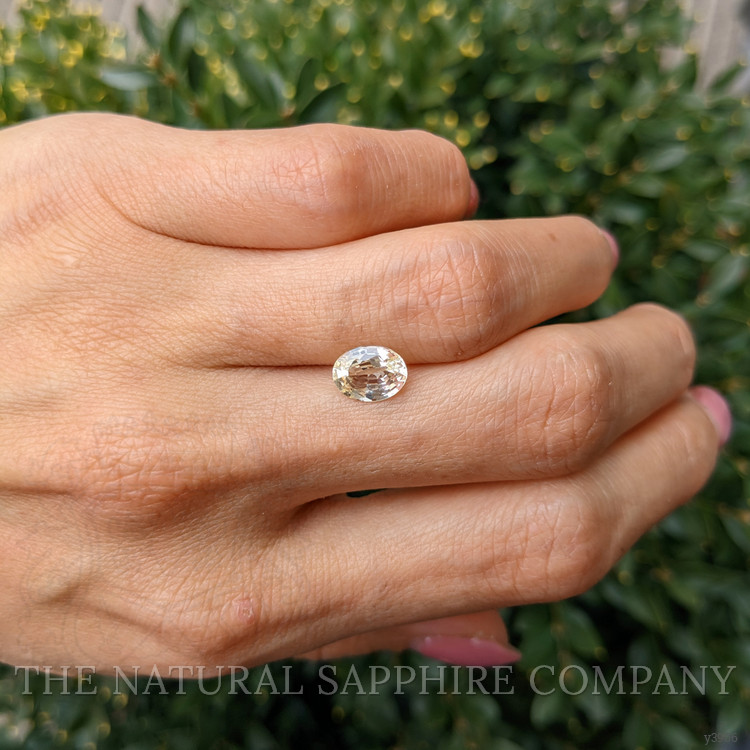 1.80 Ct. Yellow Sapphire from Ceylon (Sri Lanka)