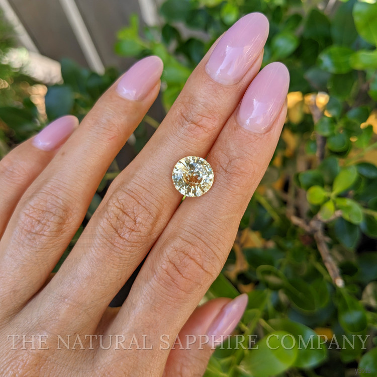 4.31 Ct. Yellow Sapphire from Ceylon (Sri Lanka)