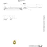 Jewelry Scan Report