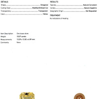 Jewelry Scan Report