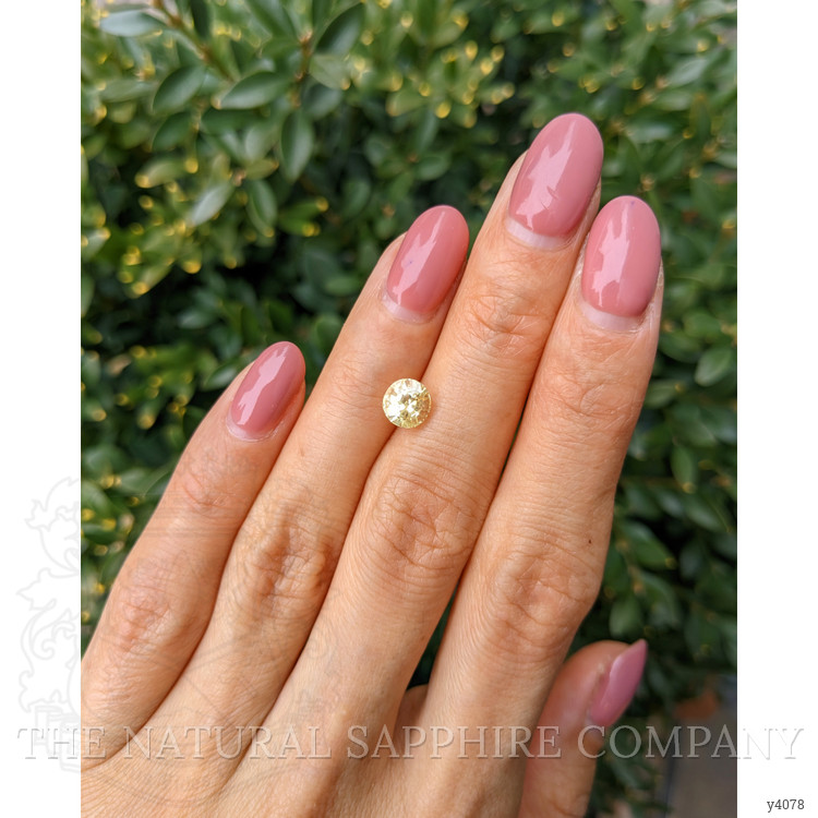 1.54 Ct. Yellow Sapphire from Ceylon (Sri Lanka)