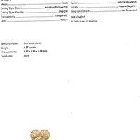 Jewelry Scan Report