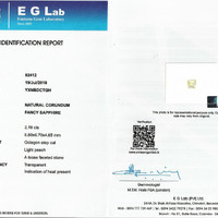 Jewelry Scan Report