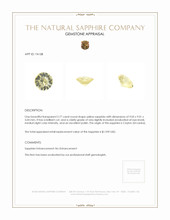 Jewelry Appraisal