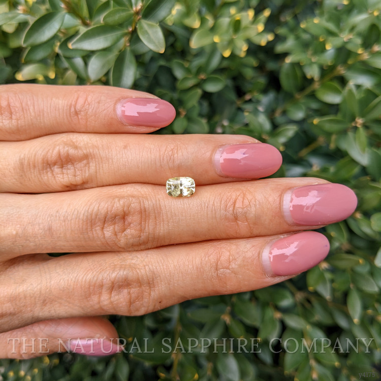 1.28 Ct. Yellow Sapphire from Ceylon (Sri Lanka)