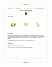 1.24 Ct. Yellow Sapphire from Ceylon (Sri Lanka) Appraisal