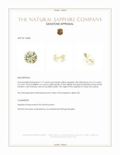 Jewelry Appraisal