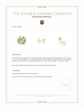 Jewelry Appraisal