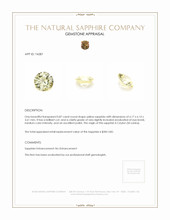 Jewelry Appraisal