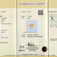 11.02 Ct. Sapphire from Ceylon (Sri Lanka) Scan Report