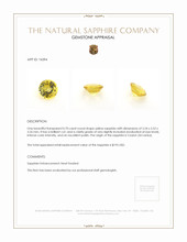 Jewelry Appraisal