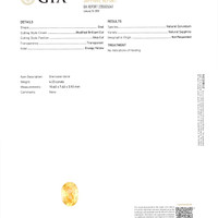 Jewelry Scan Report