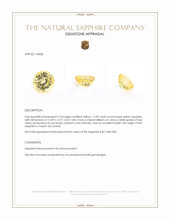 Jewelry Appraisal