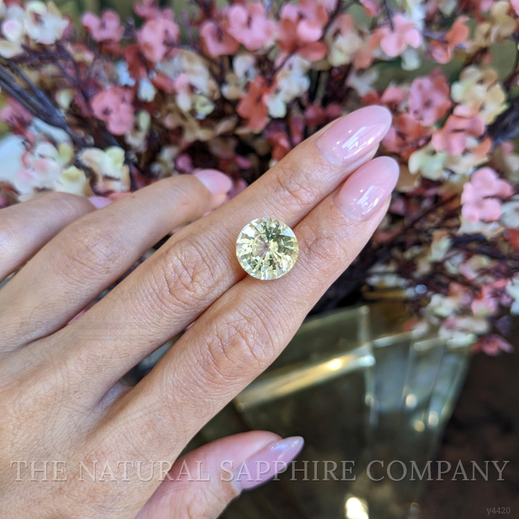 11.09 Ct. Yellow Sapphire from Ceylon (Sri Lanka)