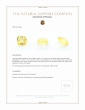7.69 Ct. Sapphire from Ceylon (Sri Lanka) Appraisal