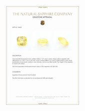Jewelry Appraisal