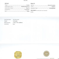 Jewelry Scan Report