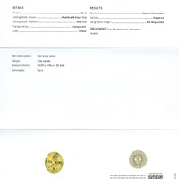 Jewelry Scan Report