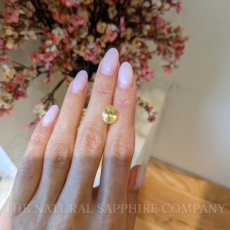 5.04 Ct. Yellow Sapphire from Ceylon (Sri Lanka)
