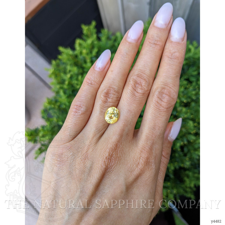 5.04 Ct. Yellow Sapphire from Ceylon (Sri Lanka)