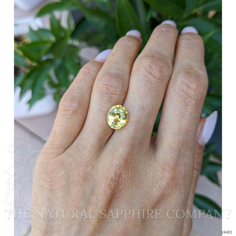 5.04 Ct. Yellow Sapphire from Ceylon (Sri Lanka)