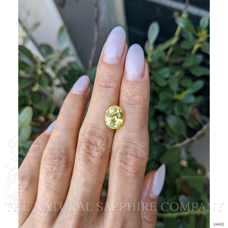5.04 Ct. Yellow Sapphire from Ceylon (Sri Lanka)