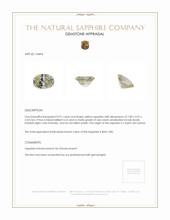 Jewelry Appraisal
