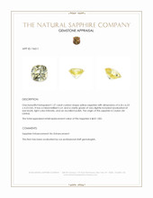 Jewelry Appraisal
