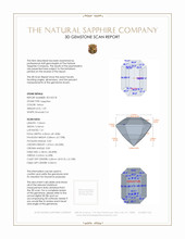 Jewelry 3 D Scan Report