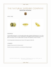 Jewelry Appraisal