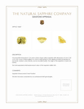 Jewelry Appraisal