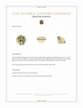 Jewelry Appraisal