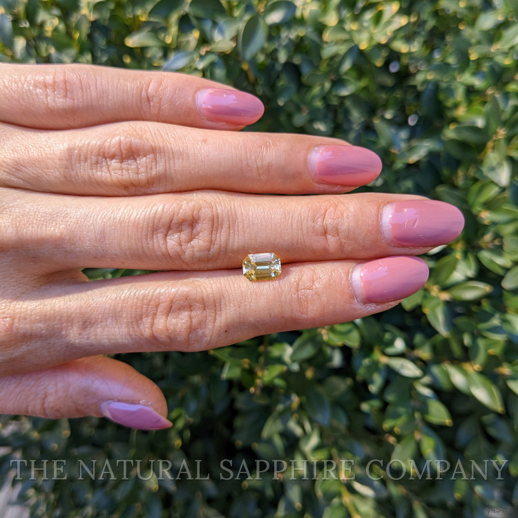 1.57 Ct. Yellow Sapphire from Ceylon (Sri Lanka)