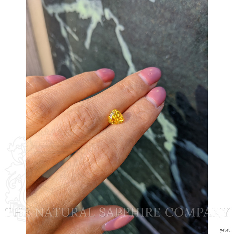 1.84 Ct. Yellow Sapphire from Ceylon (Sri Lanka)