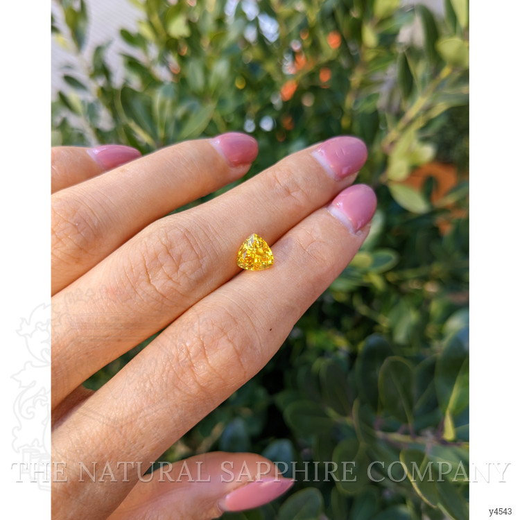 1.84 Ct. Yellow Sapphire from Ceylon (Sri Lanka)