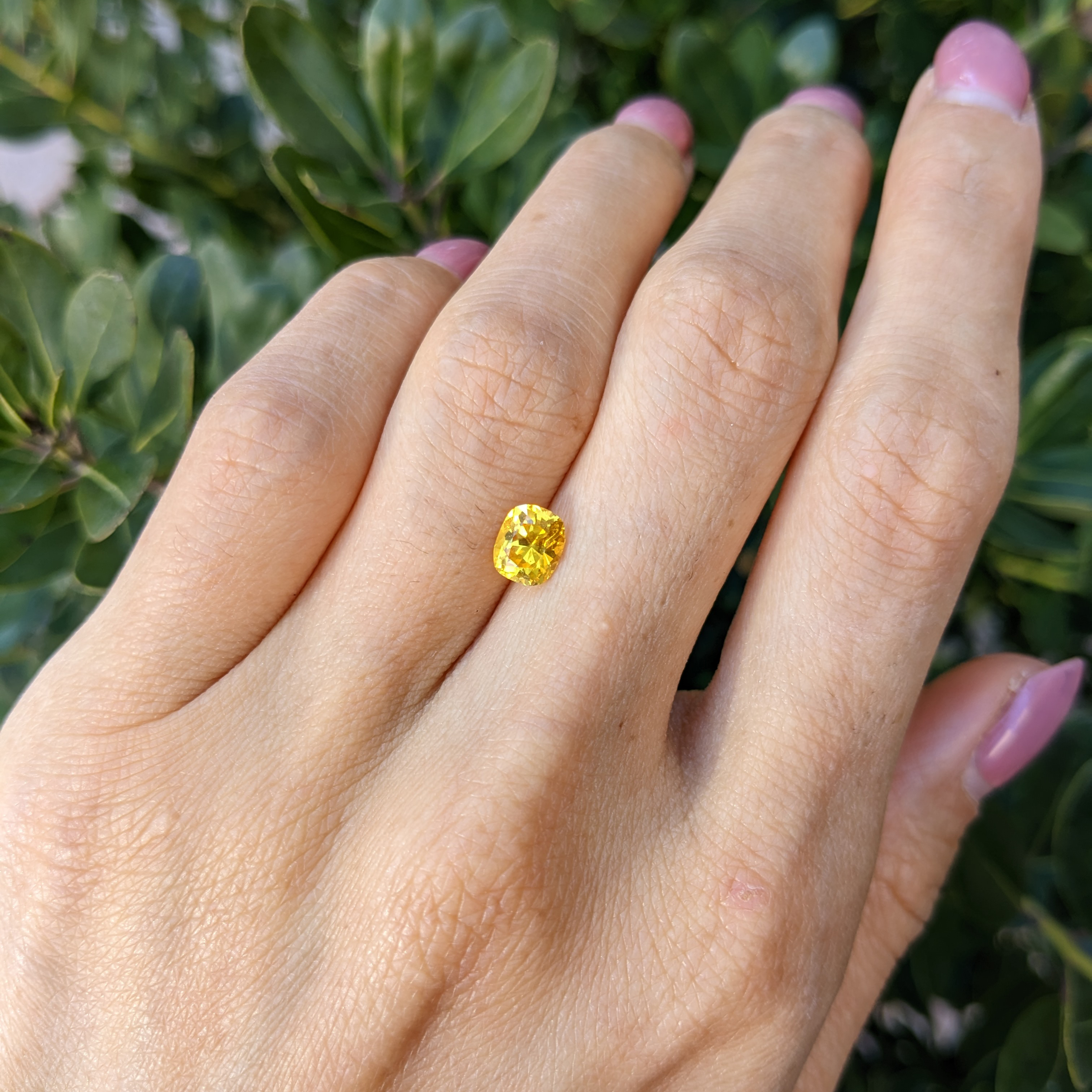 Loose Yellow Sapphire - Cushion 1.04 Ct. - #Y4544 | The Natural