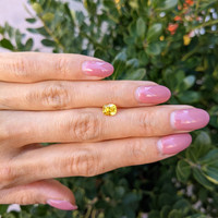 1.04 Ct. Yellow Sapphire from Ceylon (Sri Lanka) Life Style