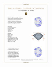 Jewelry 3 D Scan Report