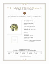 Jewelry Scan Report